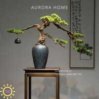 Chậu cây tùng bonsai thiết kế phong cách Nhật (Mẫu 1)
