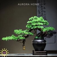 Chậu cây tùng bonsai thiết kế phong cách Nhật (Mẫu 5)