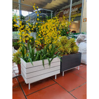 Chậu composite chữ nhật kẻ chỉ Queenpot kích thước 50x20x25 cm