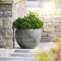 Chậu Composite Esteras Naturelite Old Stone Woodley - ban công xanh
