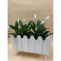 Chậu composite trồng cây 50x20x20