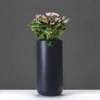 Chậu composite trụ tròn [ Queenpot ]
