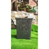 Chậu đá cuội, chậu đá trồng cây, đá để bàn, chậu sen đá, chậu cá cảnh mini để trang trí