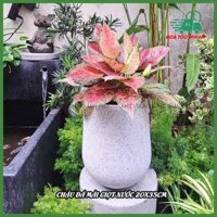 Chậu Đá Mài Giọt Nước 20x35cm, chậu đá mài trồng cây nội thất