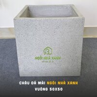 Chậu Đá Mài Vuông, Tròn 50x50cm Trồng Cây (Chậu Xi Măng Đá Mài Vuông, Tròn)