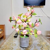 Chậu đào tiên bằng len, cây đào tiên handmade Tiệm Len Vanii
