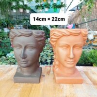 Chậu đất nung, Chậu sen đá - Chàng trai Venus lớn, miệng chậu 14cm, chiều cao 22cm