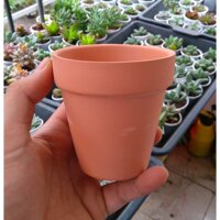 Chậu đất nung nâu chậu đất nung trắng - Màu nâu 6x6,5 cm
