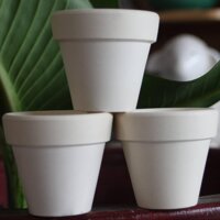 Chậu đất nung nâu chậu đất nung trắng - Màu trắng 6x6,5 cm