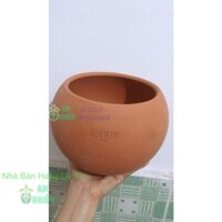 Chậu Đất Nung Trồng Cây (cao 15cm đường kính 16cm)
