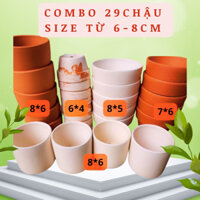 Chậu đất nung trồng sen đá - Ly gờ KT từ 6-8cm -Trồng sen đá-Sương rồng -Lỗi 1 Đổi 1