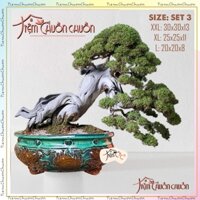 Chậu đất Tròn Miệng Lớn Vân Đôi Rồng Trồng Cây Xanh Bonsai - chậu sứ tiệm chuồn chuồn Bát TRàng