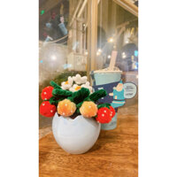 Chậu dâu tây bằng kẽm nhung, dâu tây kẽm nhung mini, chậu cây mini, decor kẽm nhung, dâu tây kẽm nhung, món quà mini