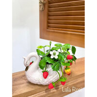 Chậu DÂU TÂY đất sét thiên nga, sản phẩm thủ công trang trí