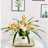 Chậu địa lan trần mộng để bàn mini - set có kèm chậu cắm sẵn