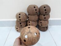 Chậu gáo dừa trồng lan Size Lớn