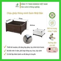 Chậu ghép trồng cây Hàng Chính Hãng DAIM Nhật Bản Combo 2 chậu L51W43H29cm Chậu nhựa ghép thông minh trồng rau, hoa, cây cảnh - Nâu