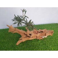 Chậu Gỗ Lũa Bonsai Mini