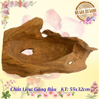 Chậu Gỗ Lũa Trồng Ghép Lan, Sen Đá Để Bàn, Đôn