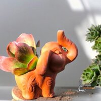 Chậu Gốm Đất Nung (terracotta) Hình Chú VOI TAI TO