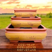 Chậu gốm sứ bát tràng trồng cây cảnh bonsai