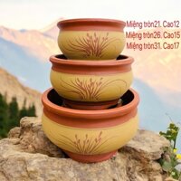 Chậu gốm sứ bát tràng trồng cây cảnh bonsai