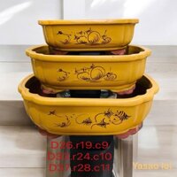 Chậu gốm sứ bát tràng trồng cây cảnh bonsai