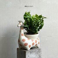 Chậu Gốm Sứ Hình Hươu - Chậu Xuất Khẩu Trồng Cây, Trồng Hoa, Trang Trí Nhà, Sân Vườn