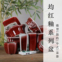 Chậu gốm sứ màu đỏ đồng nhất, chậu hoa nhỏ, cây xanh, bonsai, mọng nước, thoáng khí OHSS