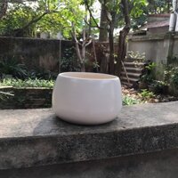 Chậu gốm sứ trồng cây trang trí nhà cửa- Chậu Trồng Cây Cảnh Đẹp