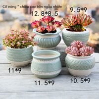 Chậu Gốm Trồng Cây / Hoa Phong Cách Bắc Âu Sáng Tạo Đơn Giản Trang Trí Trong Nhà/Ngoài Trời / Sân Vườn Chậu hoa Vintage