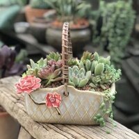 Chậu Gốm Trồng Cây Mọng Nước / Cây Mọng Nước Hình Hộp Thiết Kế Sáng TạoChế Tác Tỉ Mỉ