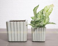 Chậu gốm vuông, size S1, trồng cây, trồng hoa, trang trí nhà cửa, sân vườn, văn phòng, homestay_FI136H16