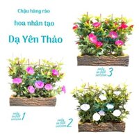 CHẬU HÀNG RÀO HOA DẠ YÊN THẢO NHÂN TẠO TRANG TRÍ NHÀ CỬA