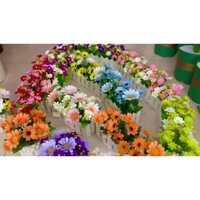 Chậu hàng rào hoa trang trí - Size từ 30cm đến 50cm - Cây giả, hoa lụa Decor trang trí nhà cửa