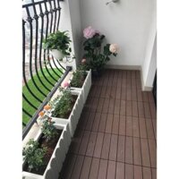 CHẬU HÀNG RÀO NHỰA composite trồng hoa cây các loại màu trắng 60cm X 25cm X 30cm