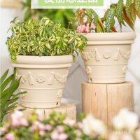 Chậu hoa Alice dày tròn nhựa nhựa đơn giản lớn hơn nhiều cho trồng cây trong nhà