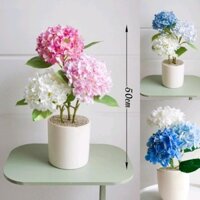 Chậu hoa cẩm tú cầu nhân tạo trắng 3 màu trụ 15 để bàn trang trí nhà cửa Decor Phòng Hoa Sen tulipblossom
