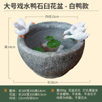 Chậu hoa cảnh quan vi mô, chậu xương rồng sáng tạo cá tính, chậu vịt nhỏ, cỏ đồng tiền, vật trang trí cây thủy canh