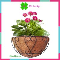 Chậu hoa, chậu trồng cây khung sắt lót xơ dừa ốp tường bán nguyệt, chậu hoa treo tường xơ dừa - Hi Lucky