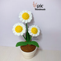 Chậu hoa cúc 3 bông Hoa cúc len handmade