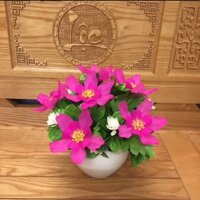 Chậu hoa đá pha lê để bàn