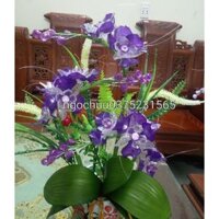 Chậu hoa đá pha lê để bàn