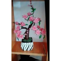 chậu hoa đào bonsai .