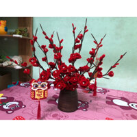 chậu hoa đào Tết