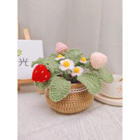 Chậu hoa dâu tây bằng len, hoa len handmade. ( Chậu lớn)