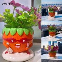 Chậu hoa dâu tây MILTER, Trang trí sân vườn Phụ kiện chậu cây trồng Thủ công cây cảnh, Tượng tượng nhỏ thủ công bằng nhựa mọng nước Trang trí cảnh quan vi mô cho Halloween