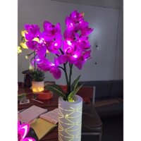 Chậu hoa địa lan đèn led vàng, trắng, hồng tím trang trí tết 2021. Cao 80cm