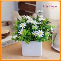 Chậu Hoa Giả Chậu Hoa Để Bàn Cao 25CM Cắm Sẵn Nhiều Mẫu Mã Decor Trang Trí Nhà Cửa LL-109