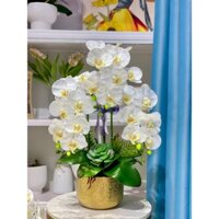 Chậu hoa giả, hoa Lan Hồ Điệp chất liệu cao su rất giống thật, cao 60cm. Trang trí nhà cửa, video ảnh thật shop chụp